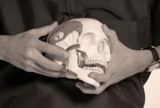 animal physical remedy schools in florida advanced physical remedy experts